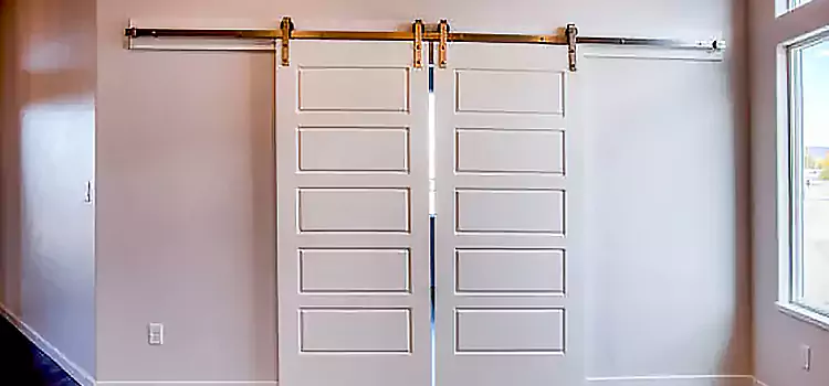 Glass Barn Door with Installation Hardware Kit Montebello